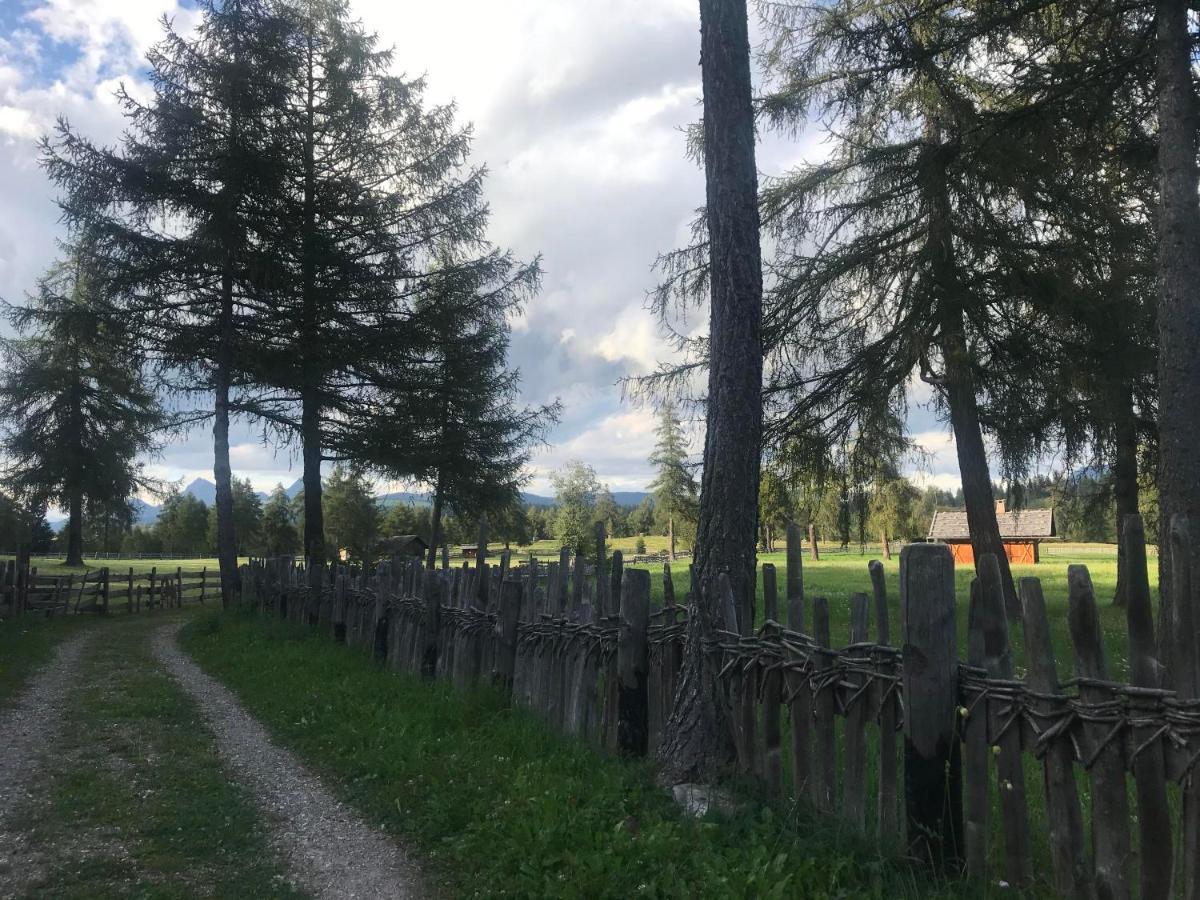 Beckenbinder Apartement Latemar San Genesio Atesino Exteriör bild